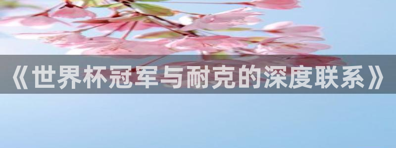 世界杯球队:《世界杯冠军与耐克的深度联系》