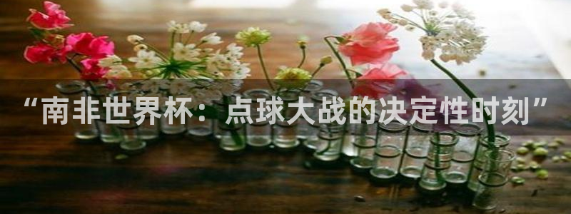 2026世界杯预选赛:“南非世界杯:点球大战的决定性时刻”