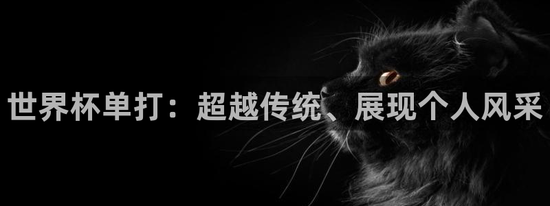 2026世界杯官网入口:世界杯单打:超越传统、展现个人风采