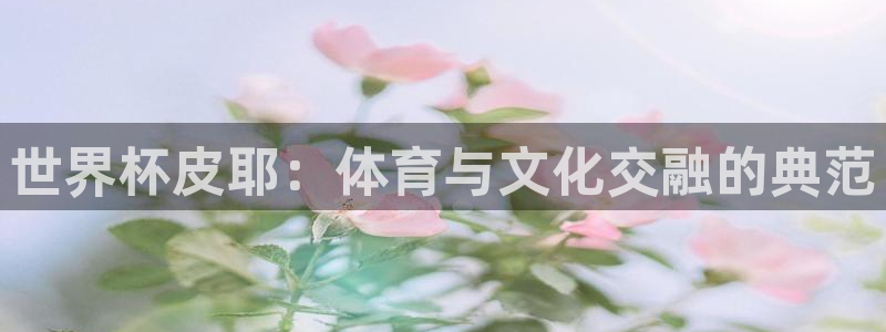 足球世界杯2026:世界杯皮耶:体育与文化交融的典范